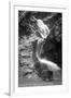 Colorado Springs, Colorado - South Cheyenne Canyon; Burro at Seven Falls-Lantern Press-Framed Art Print