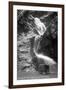 Colorado Springs, Colorado - South Cheyenne Canyon; Burro at Seven Falls-Lantern Press-Framed Art Print