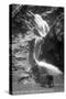 Colorado Springs, Colorado - South Cheyenne Canyon; Burro at Seven Falls-Lantern Press-Stretched Canvas