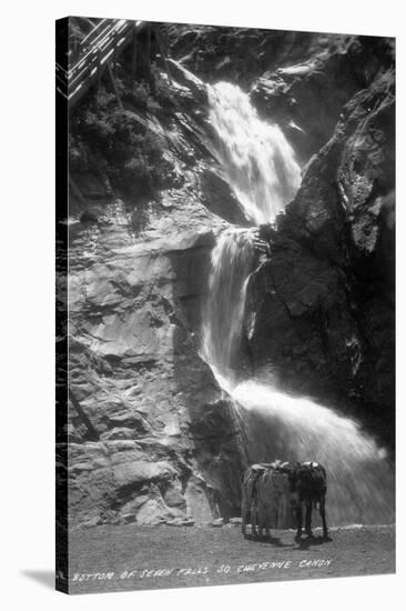 Colorado Springs, Colorado - South Cheyenne Canyon; Burro at Seven Falls-Lantern Press-Stretched Canvas