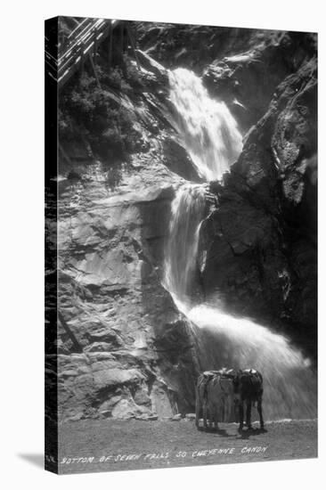 Colorado Springs, Colorado - South Cheyenne Canyon; Burro at Seven Falls-Lantern Press-Stretched Canvas