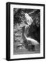 Colorado Springs, Colorado - South Cheyenne Canyon; Burro at Seven Falls-Lantern Press-Framed Art Print