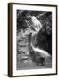 Colorado Springs, Colorado - South Cheyenne Canyon; Burro at Seven Falls-Lantern Press-Framed Art Print