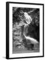 Colorado Springs, Colorado - South Cheyenne Canyon; Burro at Seven Falls-Lantern Press-Framed Art Print