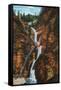 Colorado Springs, Colorado - South Cheyenne Canyon, Seven Falls View-Lantern Press-Framed Stretched Canvas