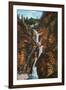 Colorado Springs, Colorado - South Cheyenne Canyon, Seven Falls View-Lantern Press-Framed Art Print