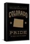 Colorado State Pride - Gold on Black-Lantern Press-Framed Stretched Canvas