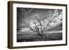 Colorado Storm-Dan Ballard-Framed Premium Photographic Print