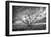 Colorado Storm-Dan Ballard-Framed Premium Photographic Print