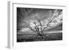 Colorado Storm-Dan Ballard-Framed Premium Photographic Print