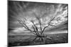 Colorado Storm-Dan Ballard-Mounted Premium Photographic Print