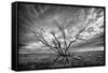 Colorado Storm-Dan Ballard-Framed Stretched Canvas