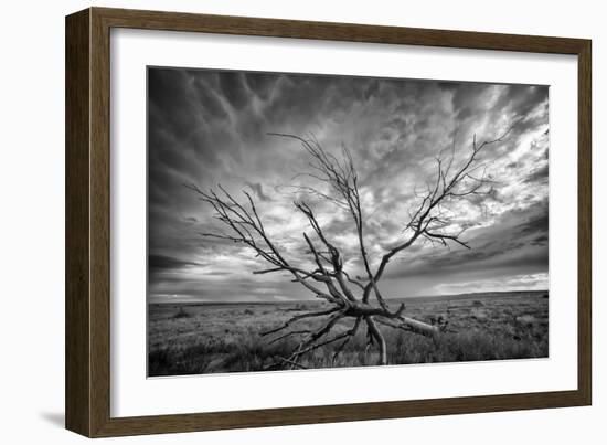 Colorado Storm-Dan Ballard-Framed Photographic Print