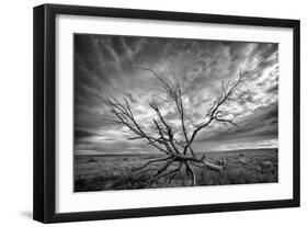 Colorado Storm-Dan Ballard-Framed Photographic Print