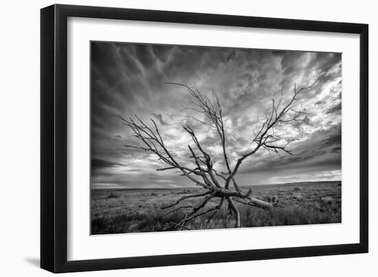 Colorado Storm-Dan Ballard-Framed Photographic Print