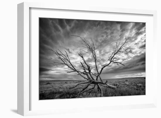 Colorado Storm-Dan Ballard-Framed Photographic Print