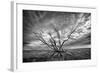 Colorado Storm-Dan Ballard-Framed Photographic Print