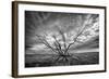 Colorado Storm-Dan Ballard-Framed Photographic Print