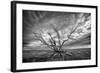 Colorado Storm-Dan Ballard-Framed Photographic Print