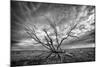 Colorado Storm-Dan Ballard-Mounted Photographic Print