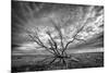 Colorado Storm-Dan Ballard-Mounted Photographic Print