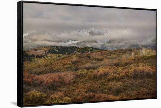 Colorado, Uncompahgre National Forest. Autumn Snowstorm Above Sneffels Range-Jaynes Gallery-Framed Stretched Canvas