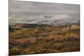 Colorado, Uncompahgre National Forest. Autumn Snowstorm Above Sneffels Range-Jaynes Gallery-Mounted Premium Photographic Print