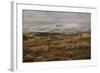 Colorado, Uncompahgre National Forest. Autumn Snowstorm Above Sneffels Range-Jaynes Gallery-Framed Photographic Print