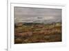 Colorado, Uncompahgre National Forest. Autumn Snowstorm Above Sneffels Range-Jaynes Gallery-Framed Photographic Print