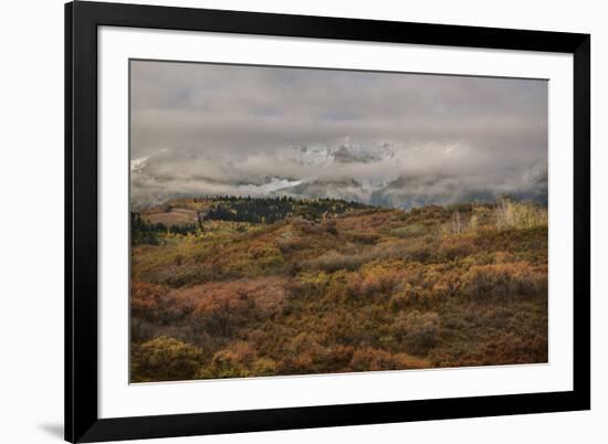 Colorado, Uncompahgre National Forest. Autumn Snowstorm Above Sneffels Range-Jaynes Gallery-Framed Photographic Print