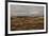 Colorado, Uncompahgre National Forest. Autumn Snowstorm Above Sneffels Range-Jaynes Gallery-Framed Photographic Print