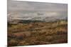 Colorado, Uncompahgre National Forest. Autumn Snowstorm Above Sneffels Range-Jaynes Gallery-Mounted Photographic Print