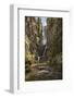 Colorado, Uncompahgre National Forest. Hidden Waterfall and Stream-Jaynes Gallery-Framed Photographic Print