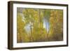 Colorado, Uncompahgre National Forest. Silver Jack Reservoir and Fall Aspens-Jaynes Gallery-Framed Photographic Print