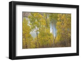 Colorado, Uncompahgre National Forest. Silver Jack Reservoir and Fall Aspens-Jaynes Gallery-Framed Photographic Print