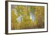 Colorado, Uncompahgre National Forest. Silver Jack Reservoir and Fall Aspens-Jaynes Gallery-Framed Photographic Print