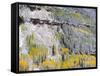 Colorado, Uncompahgre National Forest-John Barger-Framed Stretched Canvas