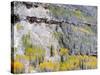 Colorado, Uncompahgre National Forest-John Barger-Stretched Canvas