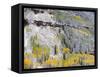 Colorado, Uncompahgre National Forest-John Barger-Framed Stretched Canvas