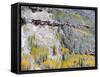 Colorado, Uncompahgre National Forest-John Barger-Framed Stretched Canvas