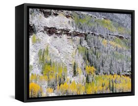 Colorado, Uncompahgre National Forest-John Barger-Framed Stretched Canvas
