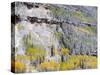 Colorado, Uncompahgre National Forest-John Barger-Stretched Canvas