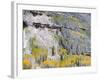 Colorado, Uncompahgre National Forest-John Barger-Framed Photographic Print