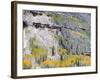 Colorado, Uncompahgre National Forest-John Barger-Framed Photographic Print