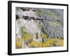 Colorado, Uncompahgre National Forest-John Barger-Framed Photographic Print