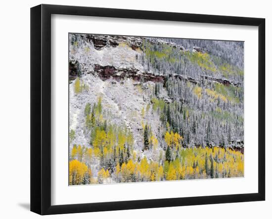 Colorado, Uncompahgre National Forest-John Barger-Framed Photographic Print