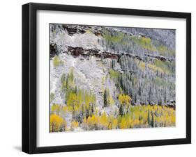 Colorado, Uncompahgre National Forest-John Barger-Framed Photographic Print