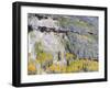 Colorado, Uncompahgre National Forest-John Barger-Framed Photographic Print