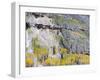 Colorado, Uncompahgre National Forest-John Barger-Framed Photographic Print