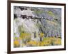 Colorado, Uncompahgre National Forest-John Barger-Framed Photographic Print